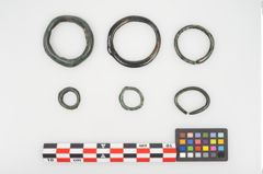 Foto von Bronzering (NHMW-PRAE-025429)